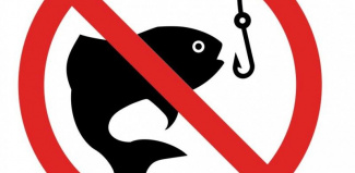 Interdiction de pêche - cours d'eau du Département du Territoire