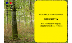 Feux de forêt:passage au niveau vigilance moyen 