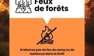 Mesures de restrictions protection forêts contre incendies