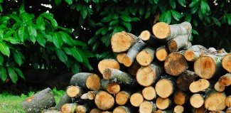 Vente de bois - Département du Territoire de Belfort