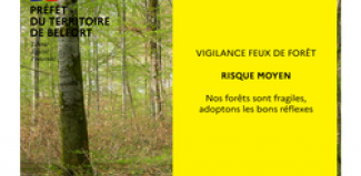 Feux de forêt:passage au niveau vigilance moyen 
